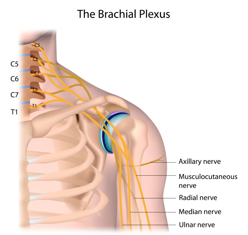 Shoulder Nerve Entrapment 肩部神經卡壓